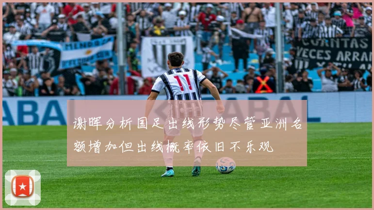 谢晖分析国足出线形势尽管亚洲名额增加但出线概率依旧不乐观