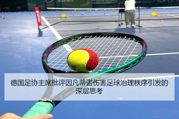 德国足协主席批评因凡蒂诺伤害足球治理秩序引发的深层思考